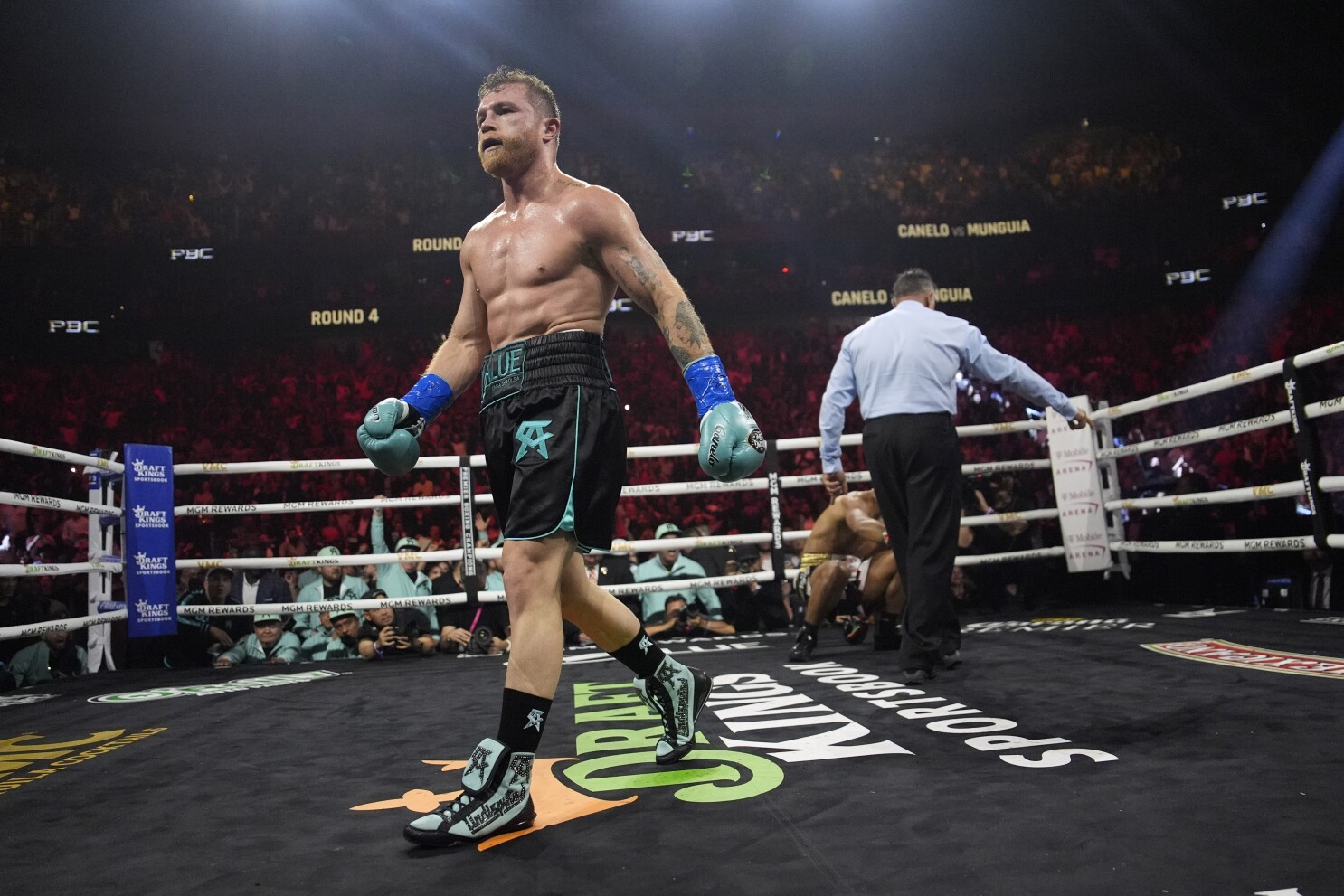Canelo fight for free online store